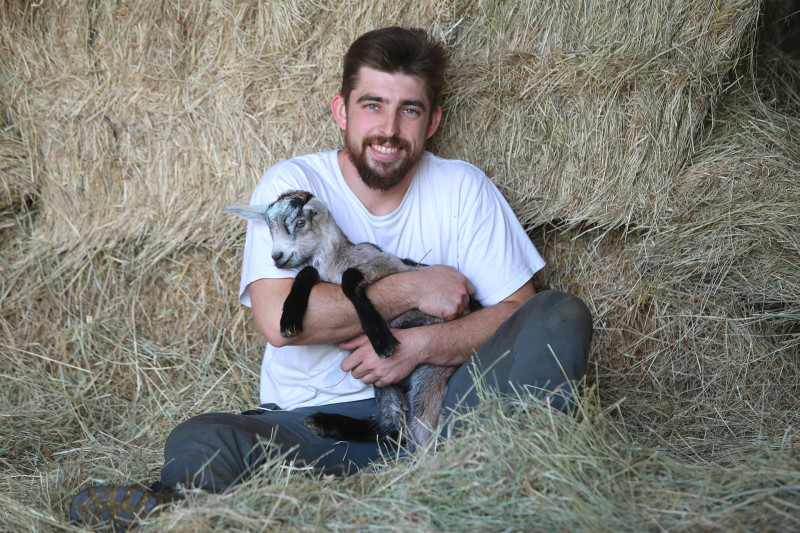 Fromagerie Le P'tit Milou Fromagerie Le P'tit Milou