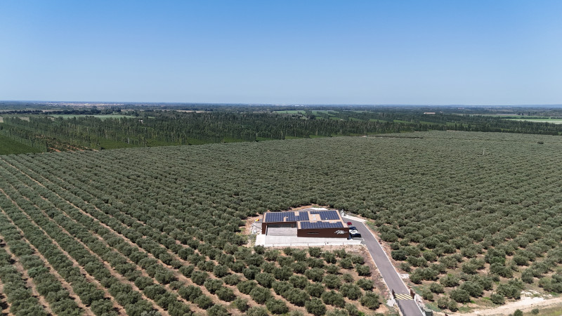 Moulin à huile Maison Leydier_Saint-Martin-de-Crau