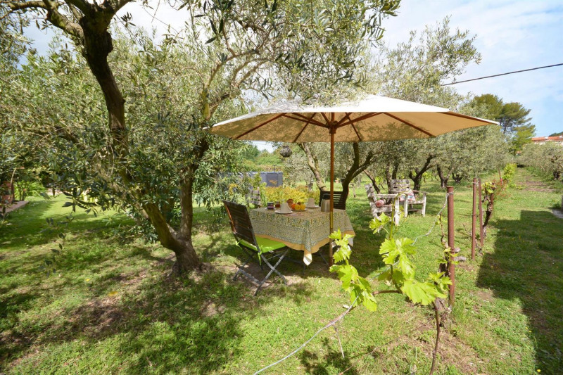 La terrasse