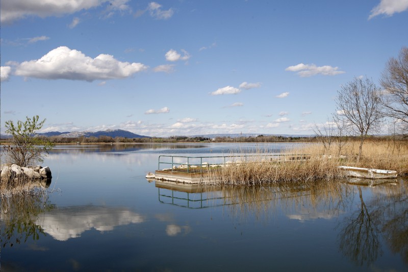 L'étang d'Entressen, un oasis dans la Crau