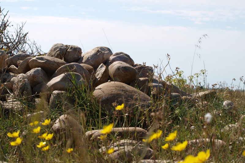 La Plaine de la Crau La Plaine de la Crau