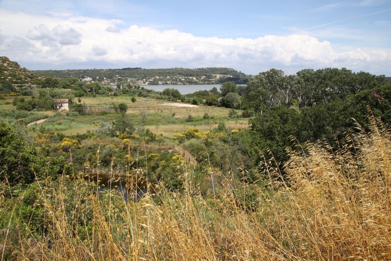 Le parc de l'Olivier prés de la colline du Miouvin Le parc de l'Olivier prés de la colline du Miouvin