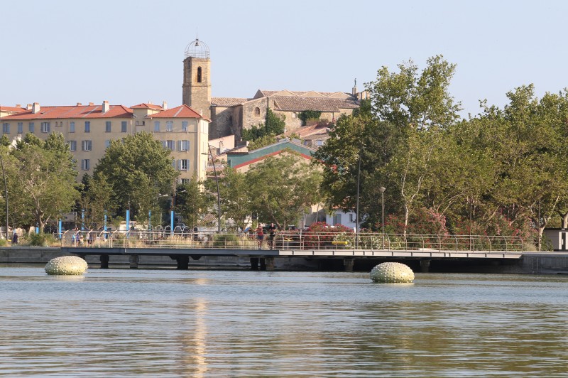 Les oursins flottants de Daniel Zanca