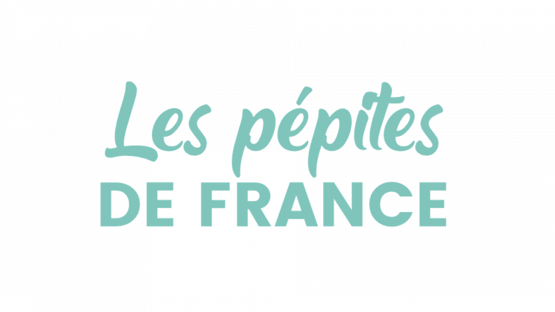 Logo Les pépites de France