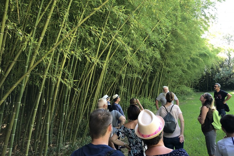 Visites en famille avec le CLUB Visites en famille avec le CLUB