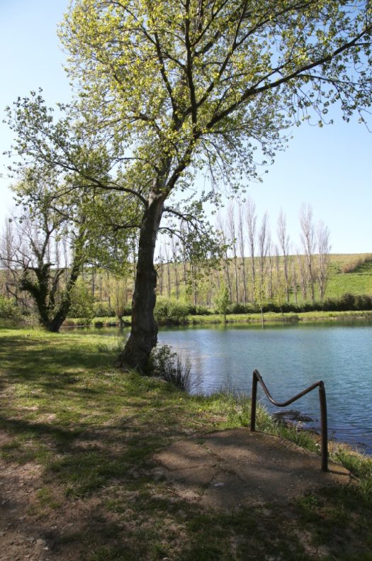Concours de pêche pour les enfants à l'étang de Baussenq_Istres