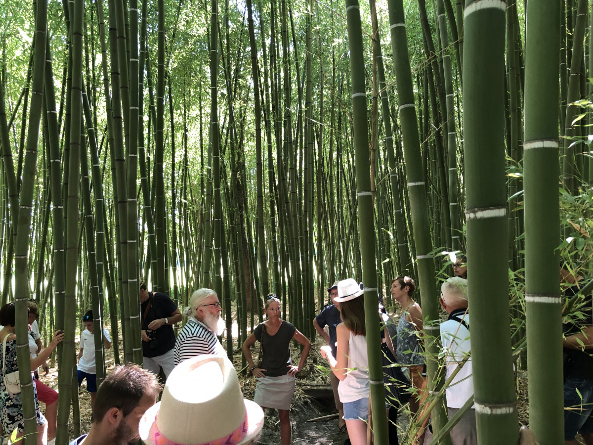 visite_bambouseraie_et_foin_de_la_crau_aout_2019_7.jpg