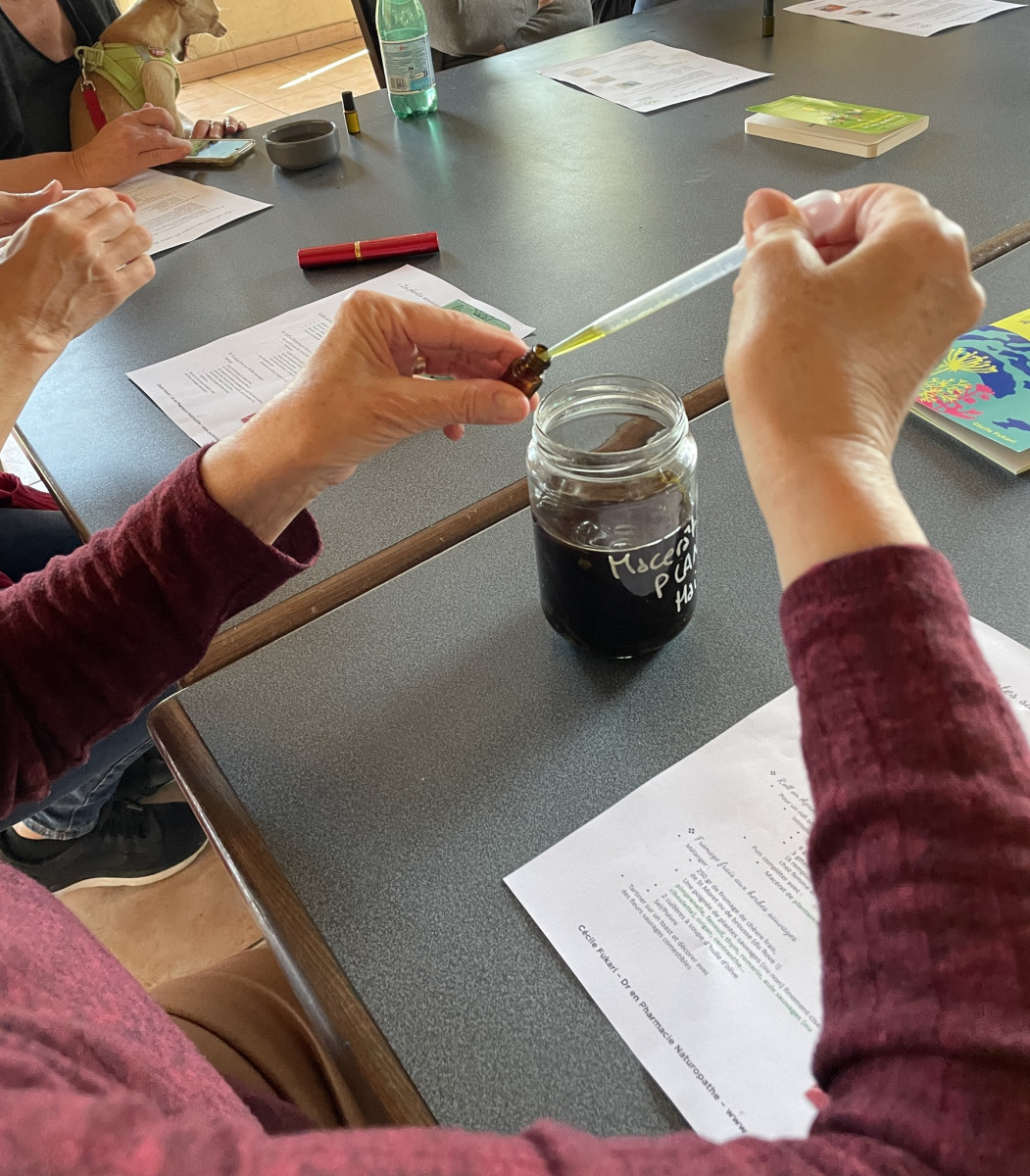 Conf'atelier : plantes magiques, plantes de sorcières_Istres