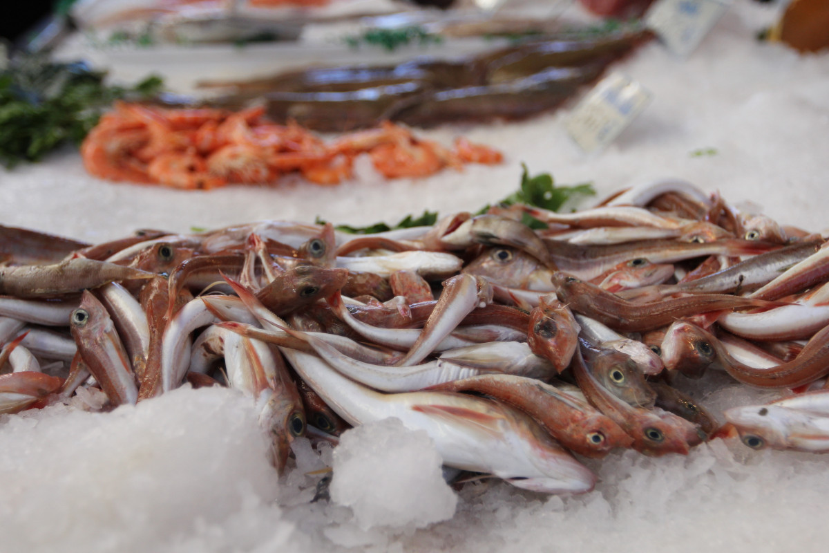 marche4_yboutet.jpg marche4_yboutet.jpg