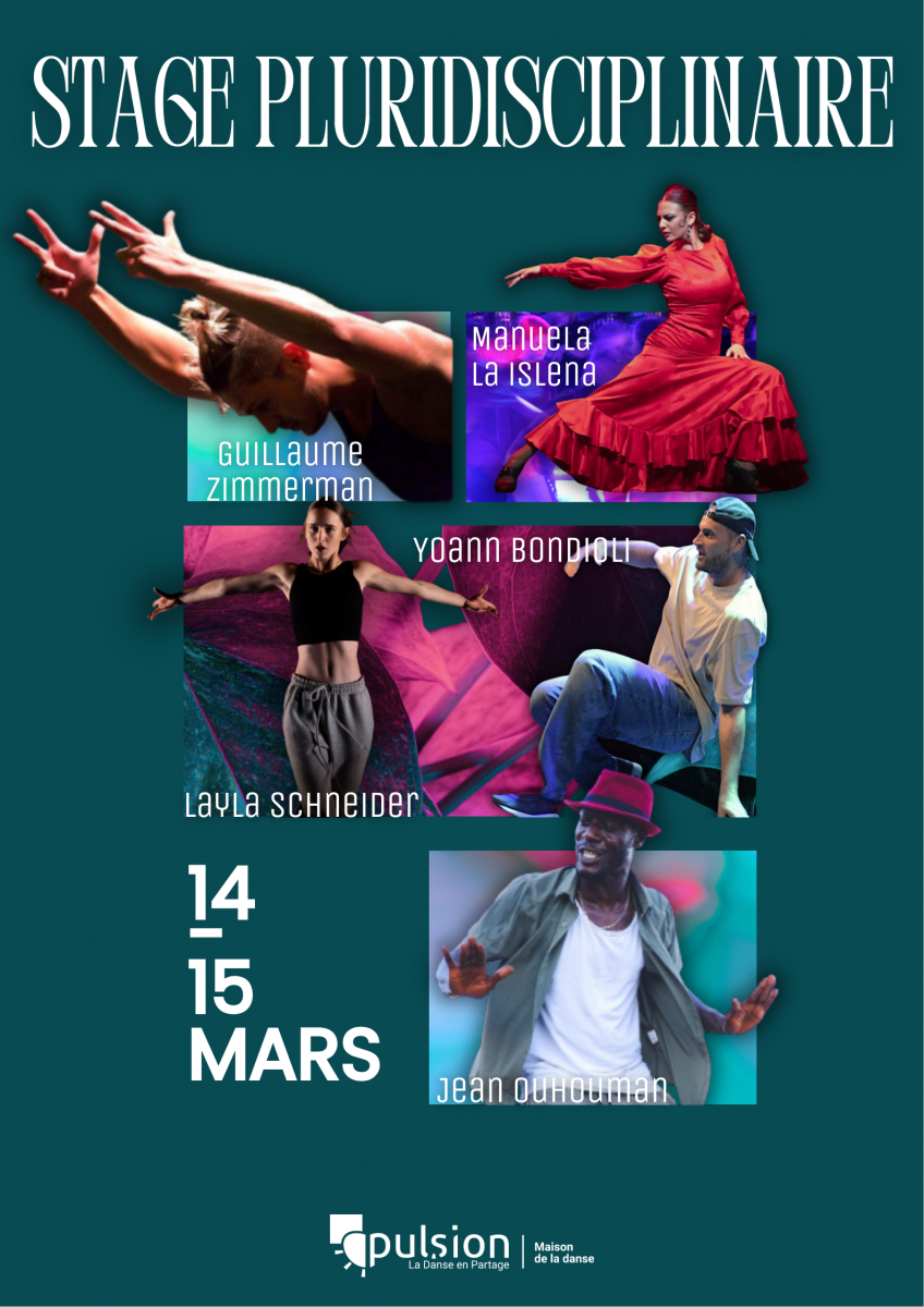 Stage pluridisciplinaire - Pulsion_Istres