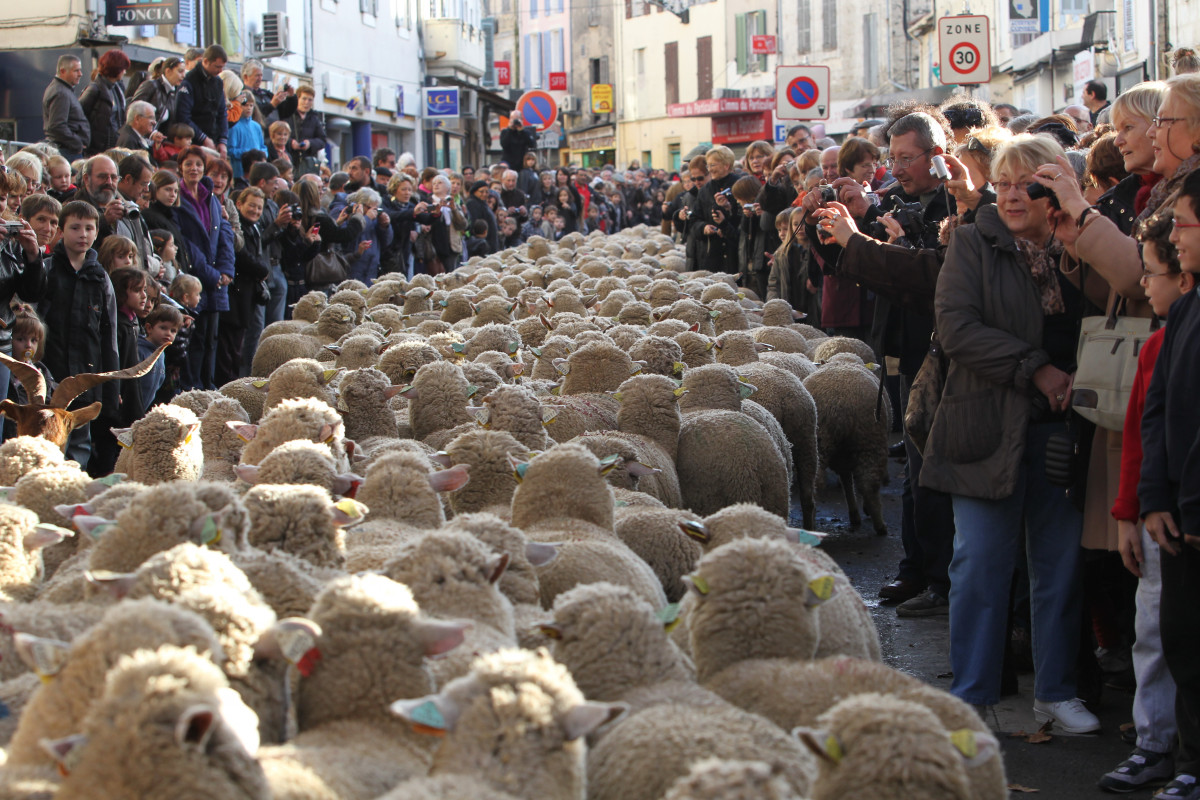 i50f0418.jpg i50f0418.jpg