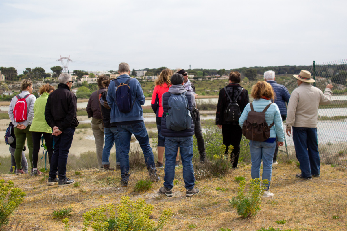 Éco-balade : Découverte des salins de Rassuen_Istres