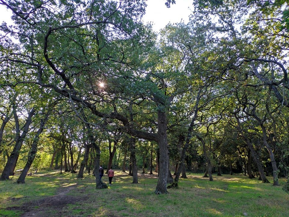 Éco-balade : Haies et bois à Entressen_Istres