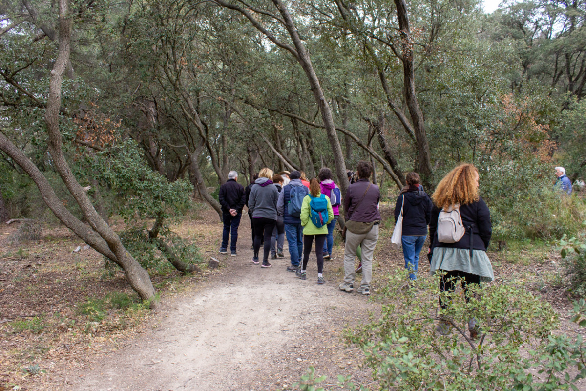 Éco-balade : De la Chênaie de Lavalduc vers les Salins de Rassuen_Istres