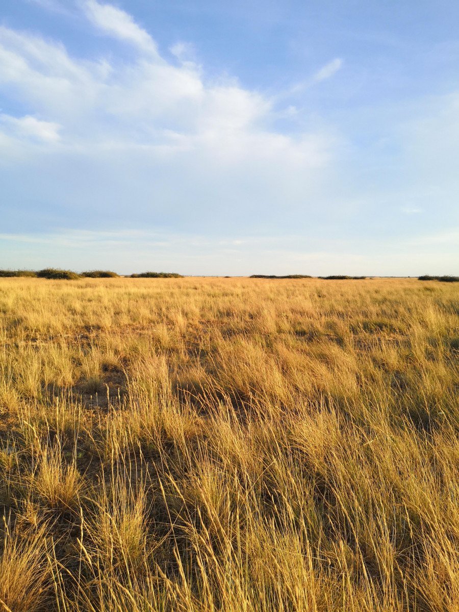 Éco-balade naturaliste dans la plaine de la Crau_Istres Éco-balade naturaliste dans la plaine de la Crau_Istres