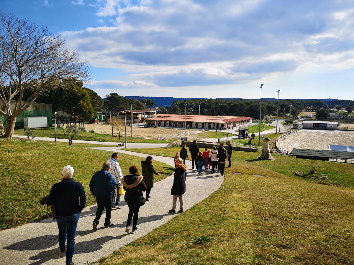 Visite du centre équestre Le Deven_Istres