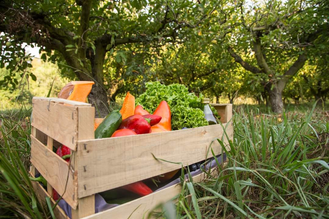 Panier d'un panier de legumes