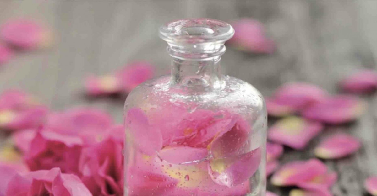 Conferencia: « Por la belleza de la rosa, sus perfumes y sus secretos » - Rencontres Parfumées_Istres