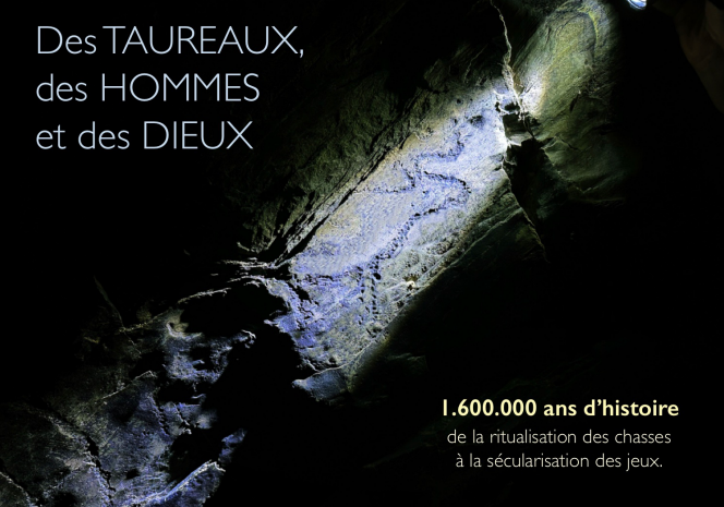 Gravure d’aurochs sur le site de Siega Verde (Castille) datant du Solutréen (vers – 19.000)