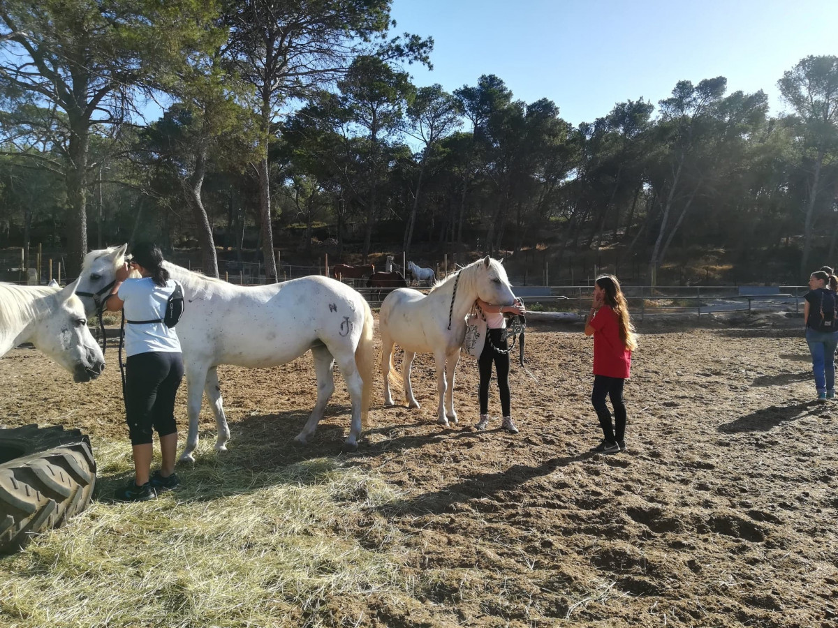 Paseo a caballo matinal con Deven_Istres - © OT Istres Paseo a caballo matinal con Deven_Istres