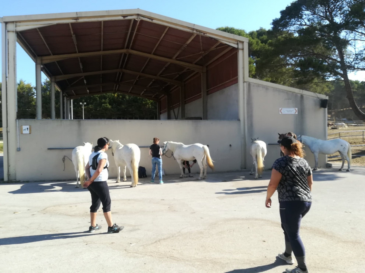 Paseo a caballo matinal con Deven_Istres - © OT Istres Paseo a caballo matinal con Deven_Istres