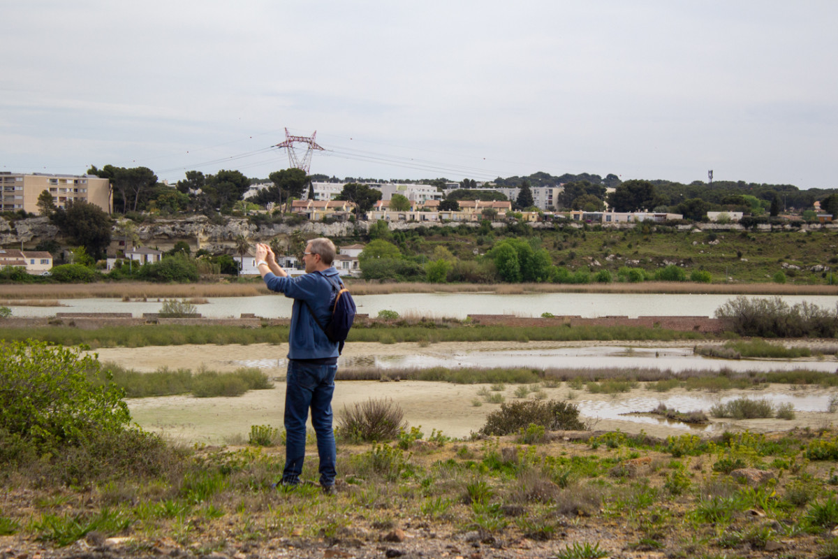 Éco-balade : Découverte des salins de Rassuen_Istres Éco-balade : Découverte des salins de Rassuen_Istres