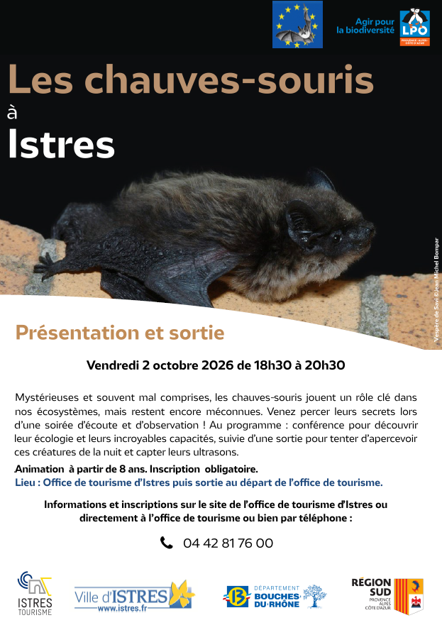 Les chauves-souris à Istres_Istres