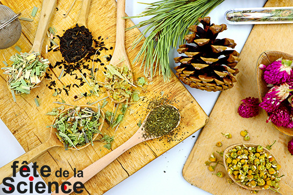 Exposition “Plantes aux mille vertus” - FÊTE DE LA SCIENCE_Istres Exposition “Plantes aux mille vertus” - FÊTE DE LA SCIENCE_Istres