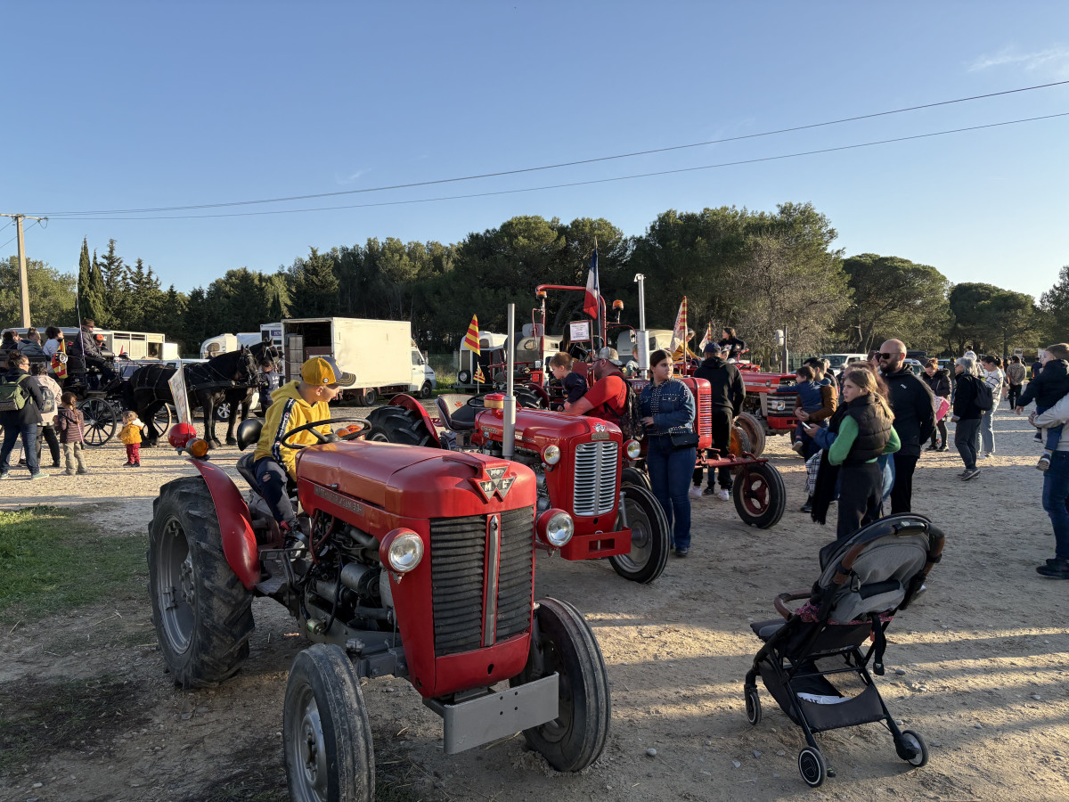 Journée pastorale des Bergers_Istres