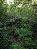 parc_de_l_olivier_eco_balade_2019_1.jpg