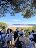 Guided discovery of the Lavalduc pond, history and evolution_Istres