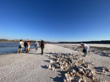 Guided discovery of the Lavalduc pond, history and evolution_Istres