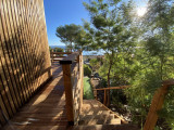 thumbnail_img_0118.jpg