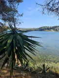 Balade connaissance de la flore méditerranéenne_Istres