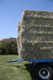 fete_du_foin_1.jpg