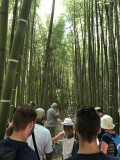 visite_bambouseraie_et_foin_de_la_crau_aout_2019_8.jpg