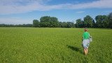 visite_foin_de_crau_office_de_tourisme_d_istres.jpg
