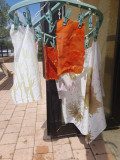 Atelier peinture végétale_Istres
