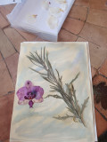Atelier peinture végétale_Istres