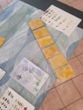 Atelier peinture végétale_Istres