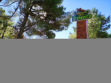 dinosaur_istres_octobre_2021_13.jpg