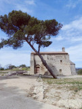 Visite guidée du site archéologique de Saint-Blaise_Istres