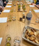 Découverte de la transformation des olives au Moulin à Huile Leydier_Istres