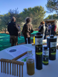 Découverte de l'Oliveraie Gimenez et ramassage 