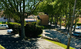 Lavande 1