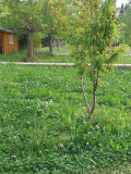 Chalet au coeur de la Provence_Istres