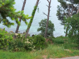 jpeg_2024_05_06_181120_6478655667036438028.jpg