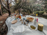 Roulez & Savourez_Istres