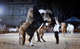 Spectacle équestre avec le Gonzalez Horse Show_Istres