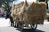 fete_du_foin_3.jpg
